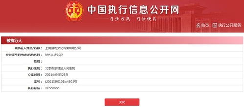天降“净网”风波中的3.3亿元悬疑 郑恺公司被执行警示文化产业诚信底线