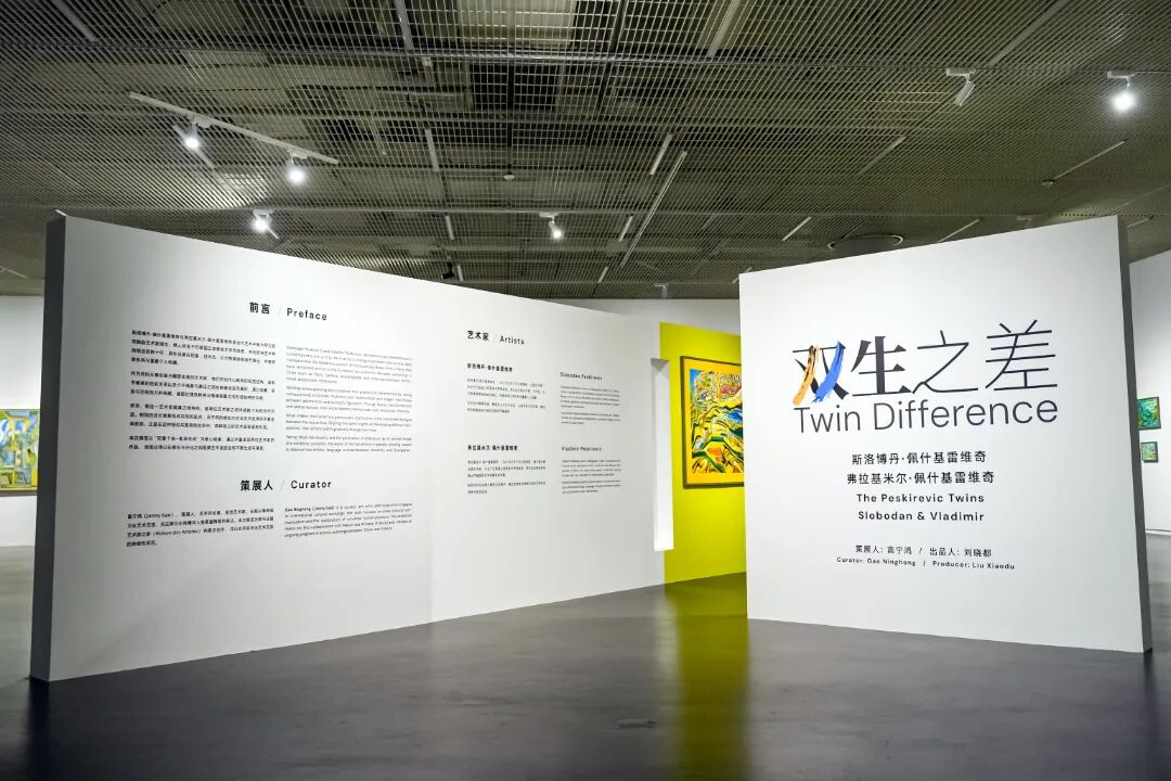 首次中国个展!在坪山读懂双生艺术的差异与共生